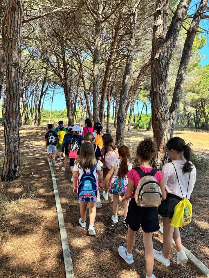 Classe in fila nella pineta del Bosco Isola durante una gita scolastica a Lesina