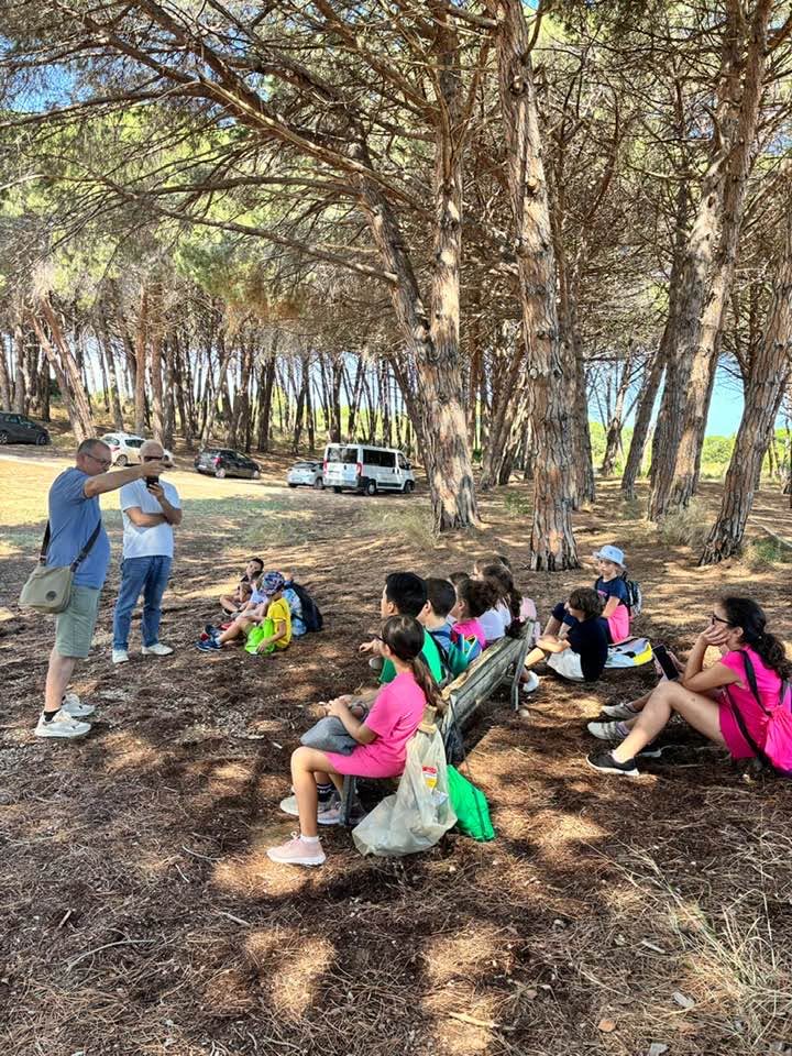 Sosta all'ombra della pineta del Bosco Isola durante la gita scolastica