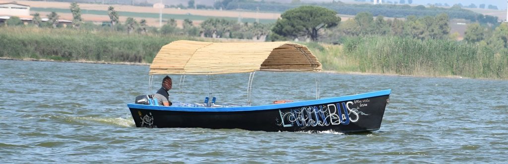 Barca tra i canneti della laguna di Lesina