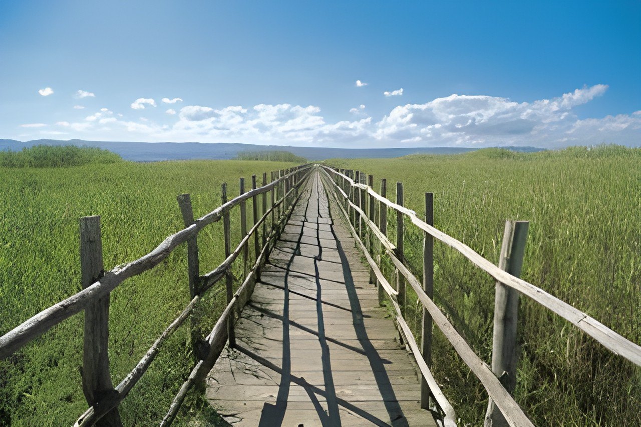 Passerella in legno nel canneto della laguna di Lesina