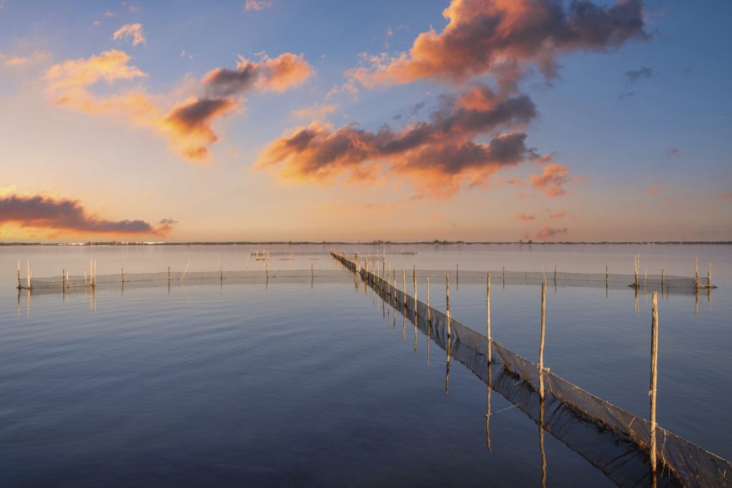 Pali e reti da pesca nella laguna vicino all'isolotto di San Clemente