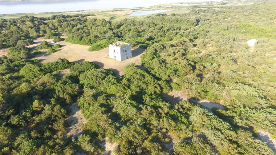 Veduta aerea della macchia del Bosco Isola tra lago e mare